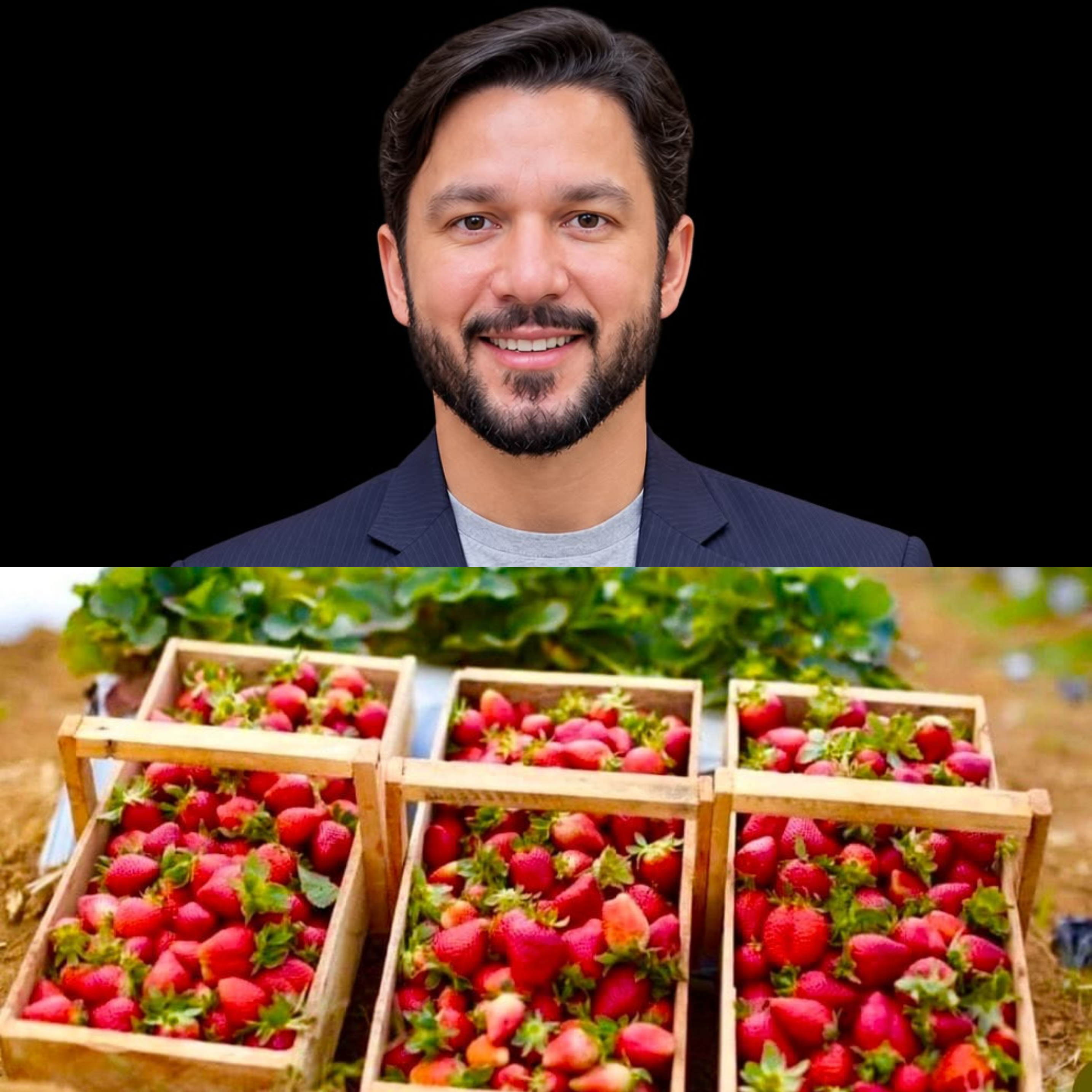 Imagem da notícia